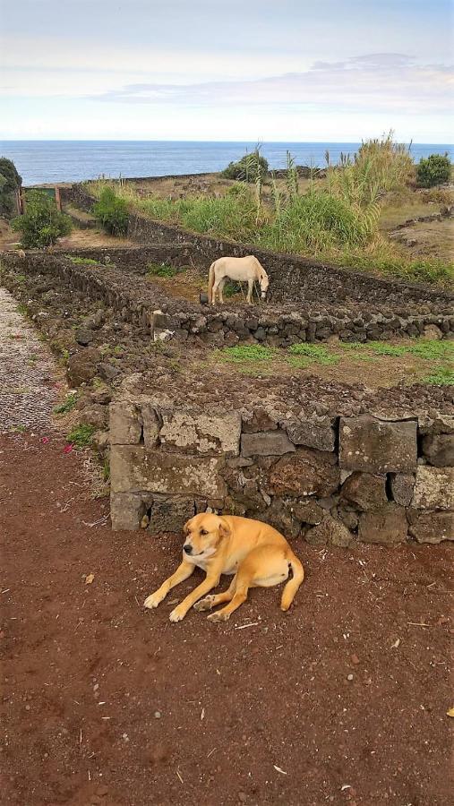 Quinta Da Falesia - Casa Branca Ponta Delgada Exterior foto